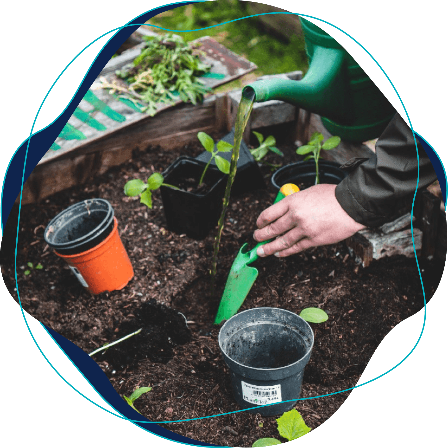 Aparece apenas a mão de um homem regando e plantando um horta